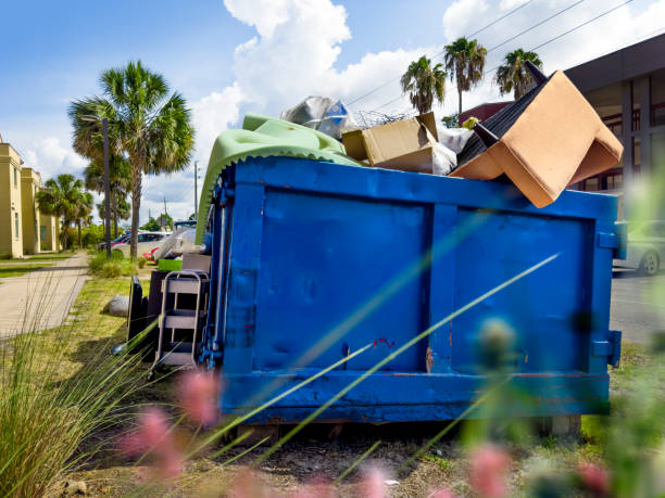 Basement Cleanout Services in Upper Grand Lagoon, FL